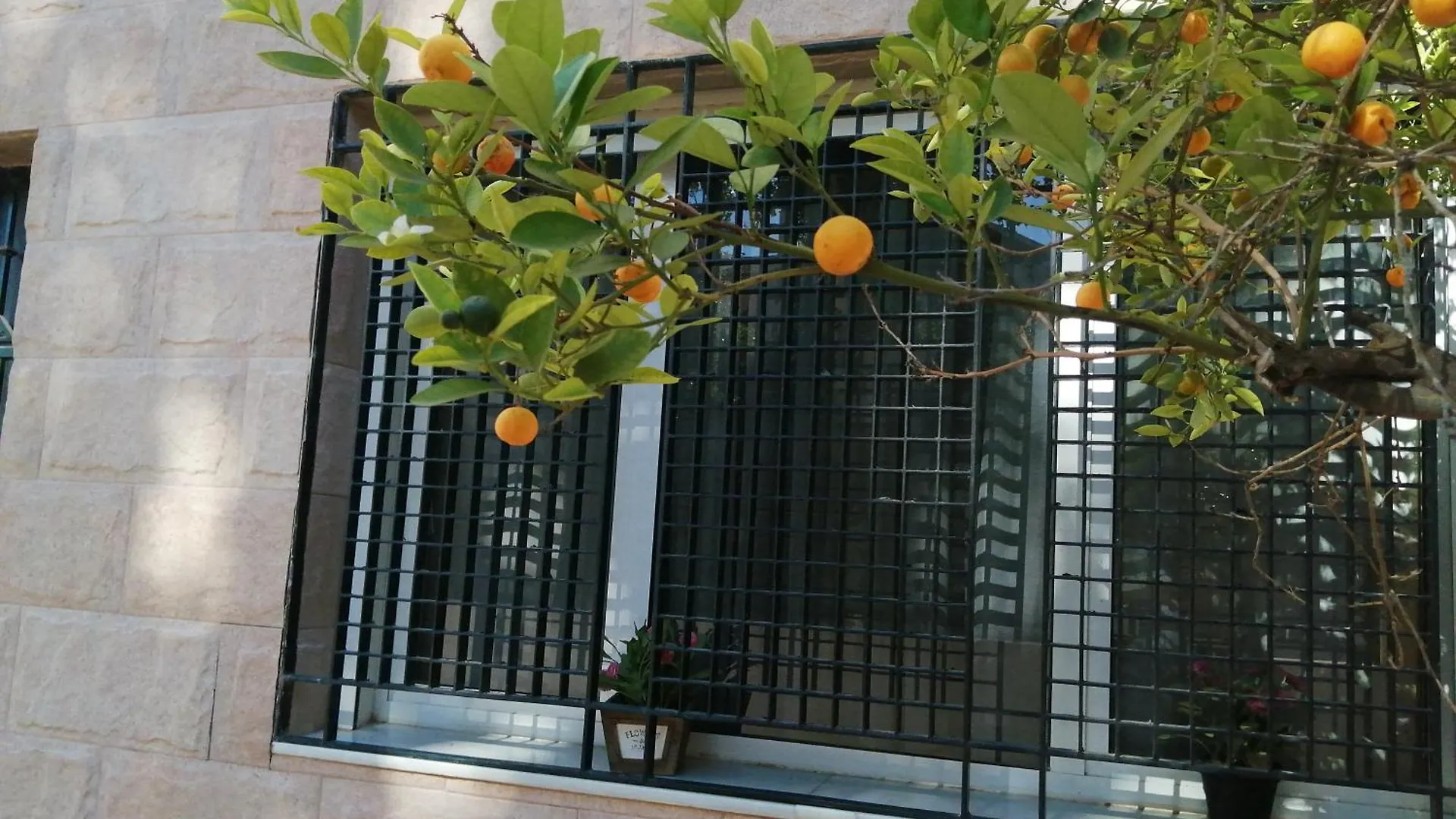 Apartamento Alcazaba Apartment Ubeda