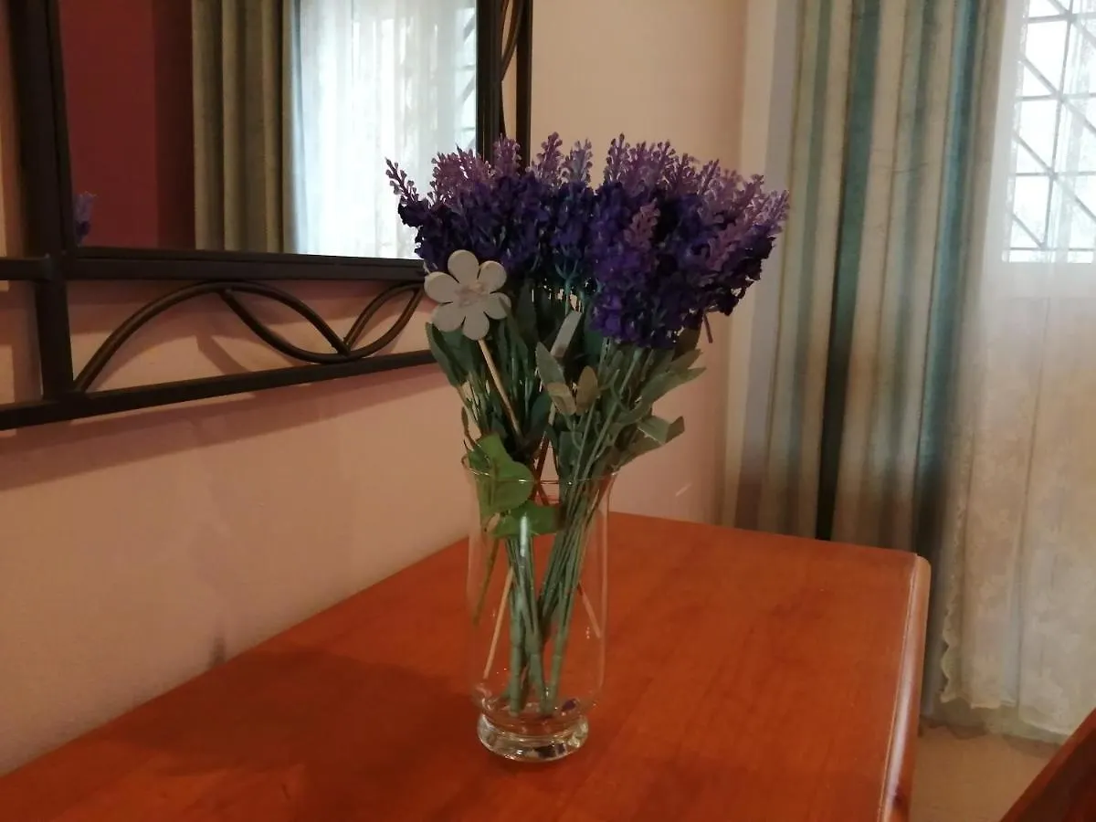 Apartamento Alcazaba Apartment Ubeda  Spain