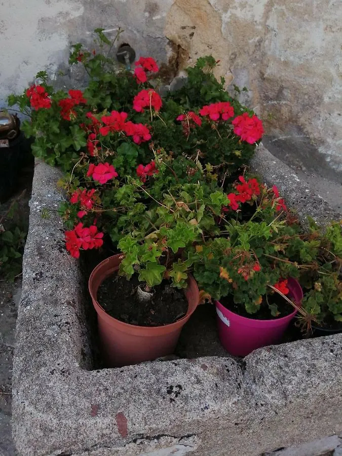 Apartamento Alcazaba Apartment Ubeda  Ubeda (Andalucia)